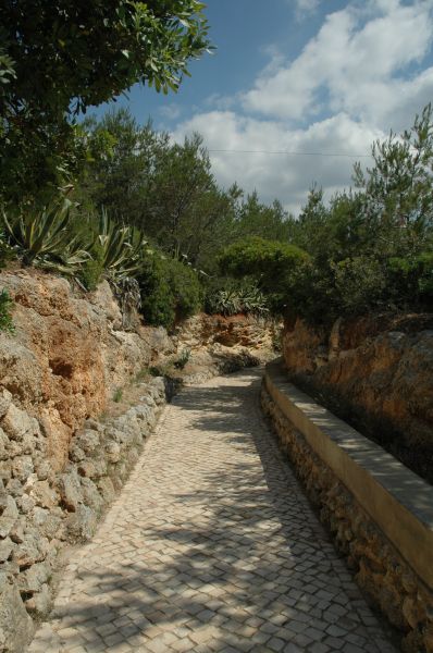gal/Beach_Marinha/DSC_5669.JPG