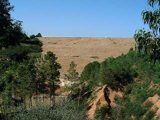 Barragem do Arade seen on you way back.